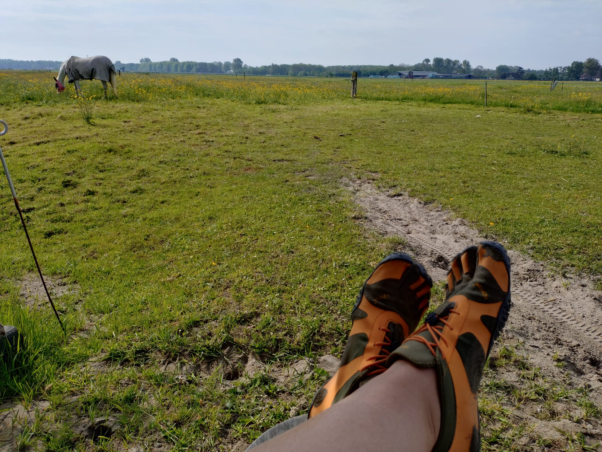 Waarom ik op blote-voeten-schoenen loop…